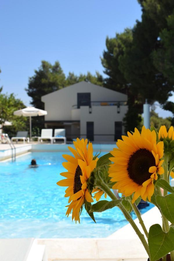Villa Pefki La Canea Esterno foto